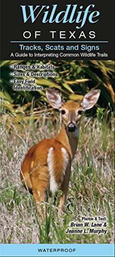 9781936913039: Tracks, Scats and Signs of Texas Wildlife: A Guide to Interpreting Common Wildlife Trails