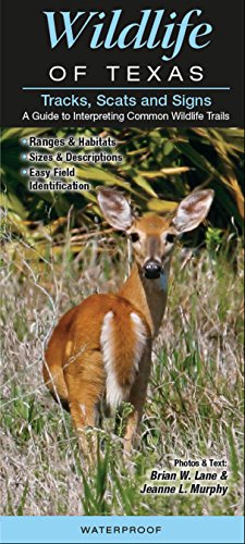 Stock image for Wildlife of Texas Tracks, Scats and Signs A Guide to Interpreting Common Wildlife Trails for sale by HPB-Emerald