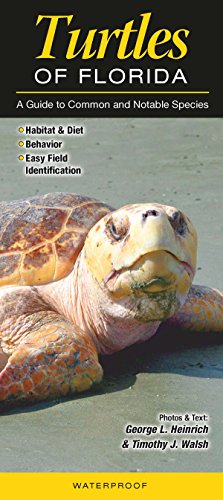 Beispielbild fr Turtles of Florida: A Guide to Common Notable Species (Quick Reference Guides) zum Verkauf von Goodwill of Colorado