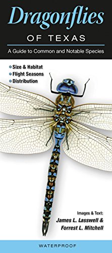 Beispielbild fr Dragonflies of Texas: A Guide to Common & Notable Species zum Verkauf von Half Price Books Inc.