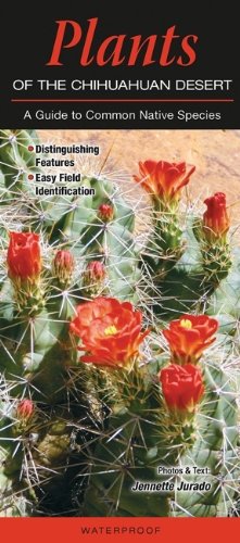Stock image for Plants of the Chihuahuan Desert: A Guide to Common Native Species for sale by HPB-Diamond