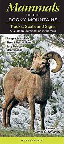 Beispielbild fr Mammals of the Rocky Mountains Tracks, Scats and Signs A Guide to Identification in the Wild (Common and Notable Species) zum Verkauf von Half Price Books Inc.