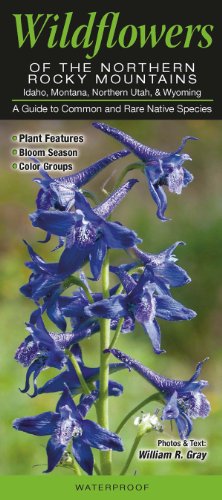 Beispielbild fr Wildflowers of the Northern Rocky Mountains: Idaho, Montana, Northern Utah, & Wyoming: ?A Guide to Common & Rare Native Species zum Verkauf von SecondSale