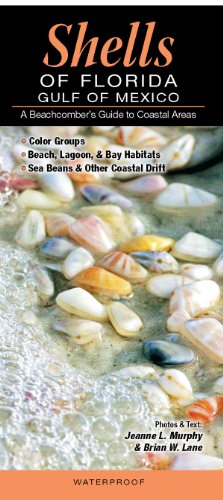 

Shells of Florida-Gulf of Mexico: A Beachcomber’s Guide to Coastal Areas