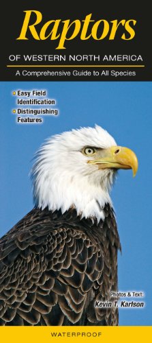 Imagen de archivo de Raptors of Western North America: A Comprehensive Guide to All Species a la venta por BooksRun