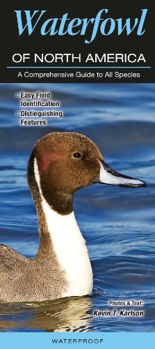 Stock image for Waterfowl of North America: A Comprehensive Guide to All Species for sale by Idaho Youth Ranch Books