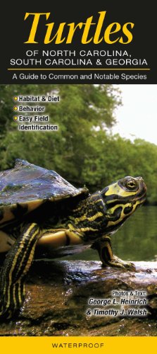 Beispielbild fr Turtles of North Carolina, South Carolina & Georgia: A Guide to Common & Notable Species zum Verkauf von SecondSale