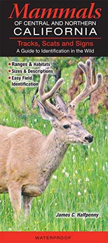 Beispielbild fr Mammals of Central and Northern California zum Verkauf von -OnTimeBooks-