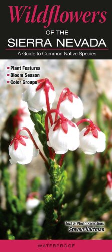 Stock image for Wildflowers of the Sierra Nevada for sale by Idaho Youth Ranch Books
