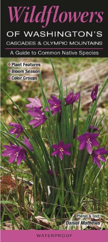 Stock image for Wildflowers of Washington's Cascade and Olympic Mountains (Quick Reference Guides) for sale by Irish Booksellers