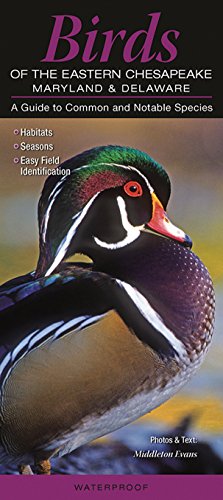Imagen de archivo de Birds of the Eastern Chesapeake: Maryland & Delaware: A Guide to Common & Notable Species (Quick Reference Guides) a la venta por GF Books, Inc.