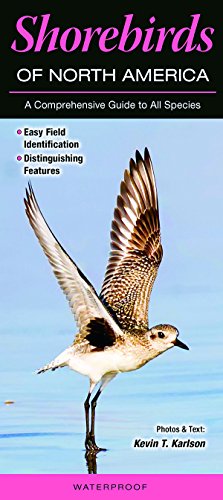 Stock image for Shorebirds of North America: A Comprehensive Guide to All Species for sale by Goodwill of Colorado