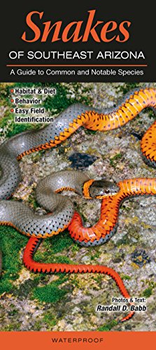 

Snakes of Southeast Arizona: A Guide to Common & Notable Species