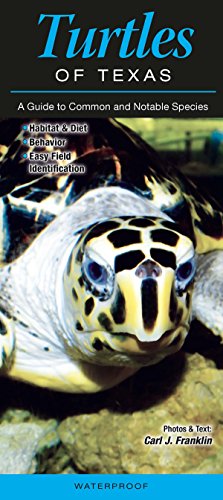Stock image for Turtles of Texas: A Guide to Common and Notable Species for sale by Half Price Books Inc.