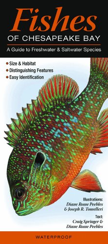 Stock image for Fishes of Chesapeake Bay: A Guide to Freshwater & Saltwater Species (Quick Reference Guides) for sale by GF Books, Inc.