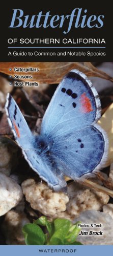 Beispielbild fr Butterflies of Southern California: A Guide to Common & Notable Species (Quick Reference Guides) zum Verkauf von SecondSale