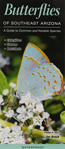 Beispielbild fr Butterflies of Southeast Arizona: A Guide to Common and Notable Species zum Verkauf von Goodwill Books