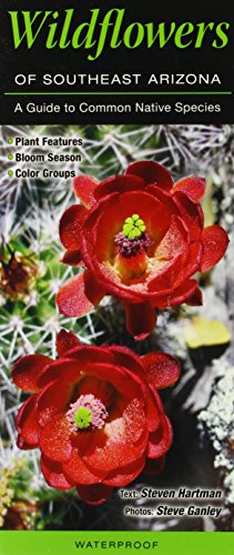 Stock image for Wildflowers of Southeast Arizona: A Guide to Common Native Species (Quick Reference Guides) for sale by HPB-Diamond