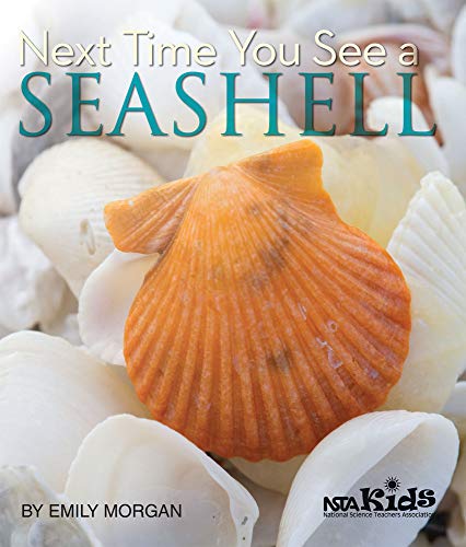 9781936959150: Next Time You See a Seashell