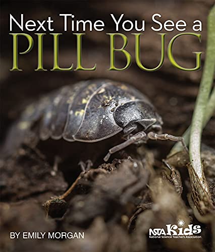 Imagen de archivo de Next Time You See a Pill Bug a la venta por PBShop.store US