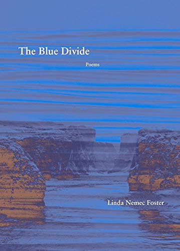 Stock image for The Blue Divide: Poems for sale by PlumCircle