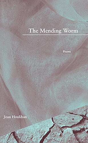 Stock image for The Mending Worm for sale by PBShop.store US