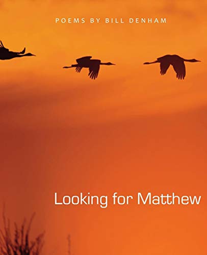 Beispielbild fr Looking for Matthew zum Verkauf von Red's Corner LLC