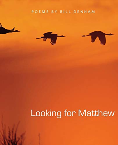 9781937002695: Looking for Matthew