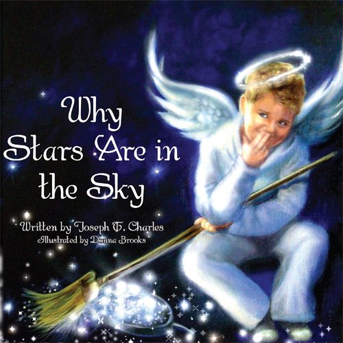 Stock image for Why Stars Are in the Sky for sale by The Book Bin