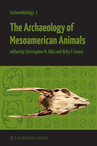 Stock image for The Archaeology of Mesoamerican Animals for sale by THE SAINT BOOKSTORE