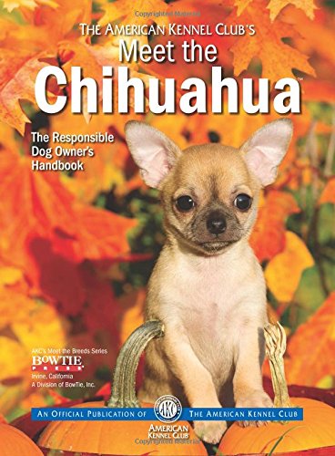 Stock image for Meet the Chihuahua for sale by ThriftBooks-Dallas