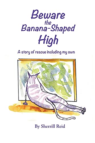 Beispielbild fr Beware the Banana-Shaped High: A Story of Rescue, Including My Own zum Verkauf von Revaluation Books