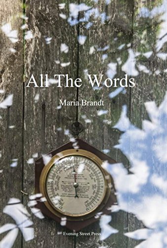 Imagen de archivo de All the Words a la venta por Small World Books