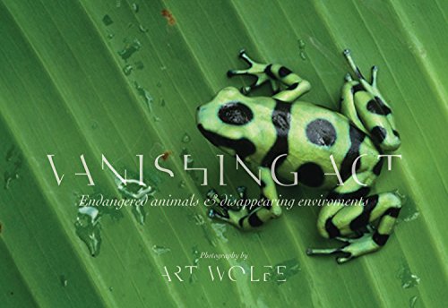 Stock image for Vanishing Act: The Artistry of Animal Camouflage for sale by Half Price Books Inc.