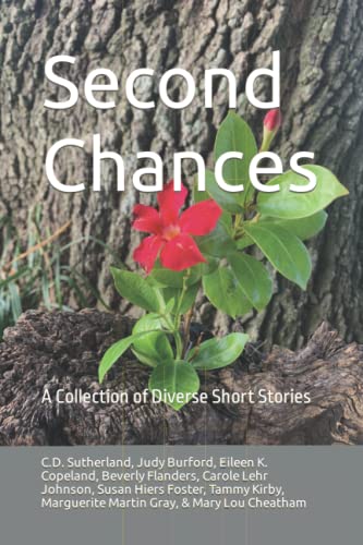 Beispielbild fr Second Chances: A Collection of Diverse Short Stories zum Verkauf von Hawking Books