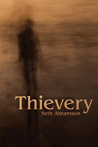 Imagen de archivo de Thievery (Akron Series in Poetry) a la venta por Jenson Books Inc