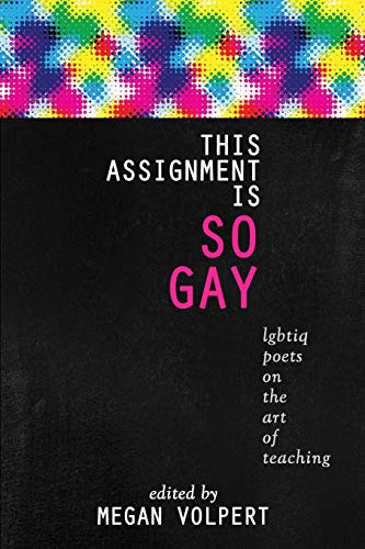 Stock image for This Assignment Is So Gay: LGBTIQ Poets on the Art of Teaching for sale by SecondSale