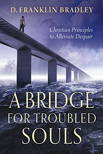 Stock image for A Bridge for Troubled Souls: Christian Principles to Alleviate Despair for sale by Decluttr