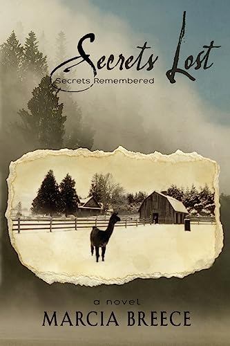 9781937454609: Secrets Lost: Secrets Remembered