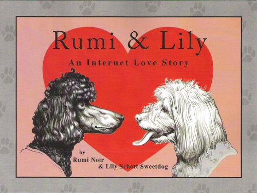 Stock image for Rumi and Lily : An Internet Love Story for sale by Better World Books