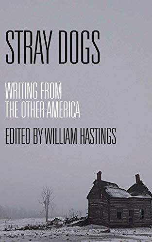 9781937495831: Stray Dogs: Writing from the Other America