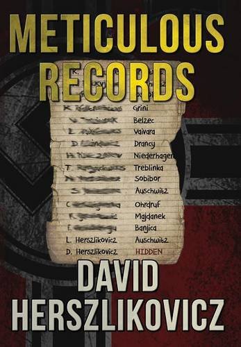9781937530839: Meticulous Records