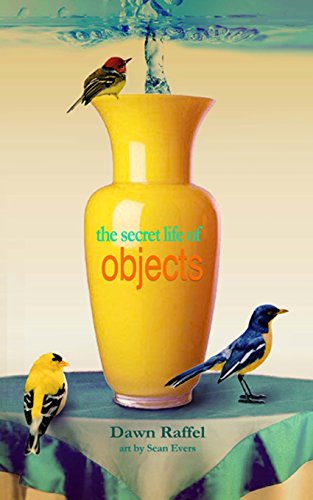 Beispielbild fr The Secret Life of Objects : A Memoir zum Verkauf von Better World Books