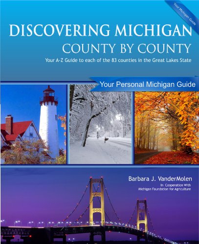 Beispielbild fr Discovering Michigan County by County zum Verkauf von Redux Books