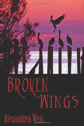 9781937593360: Broken Wings