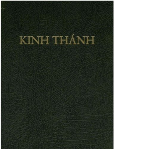 9781937628376: Vietnamese Bible-FL