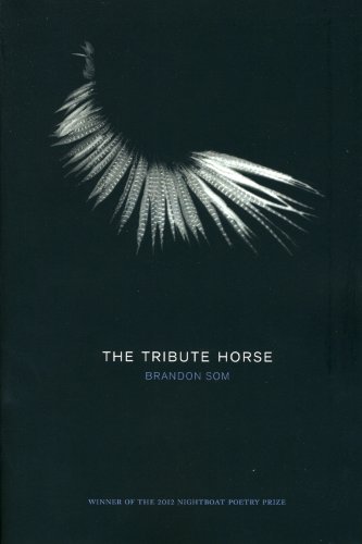 Stock image for The Tribute Horse for sale by Better World Books: West