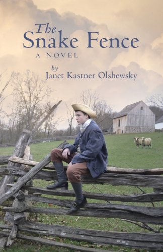 9781937768133: The Snake Fence