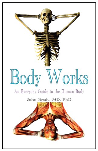 Stock image for Body Works: An Everyday Guide to the Human Body for sale by HPB-Red