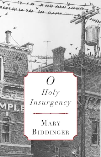 9781937854201: O Holy Insurgency